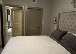 Room - Luxury downtown/midtown 1 bedroom (Houston)