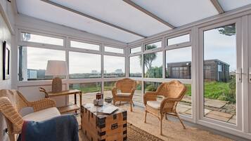 Televisión, chimenea, libros