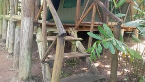 Tenda Standar