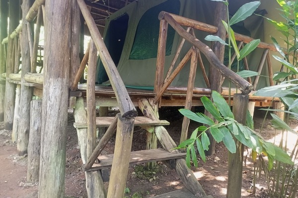 Standard Tent | Desk, laptop workspace, iron/ironing board, bed sheets