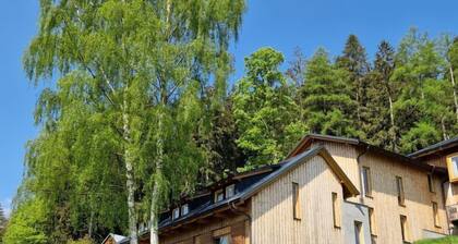 Ski-In Ski-Out Mountain Duplex Portášky3 by Interhome