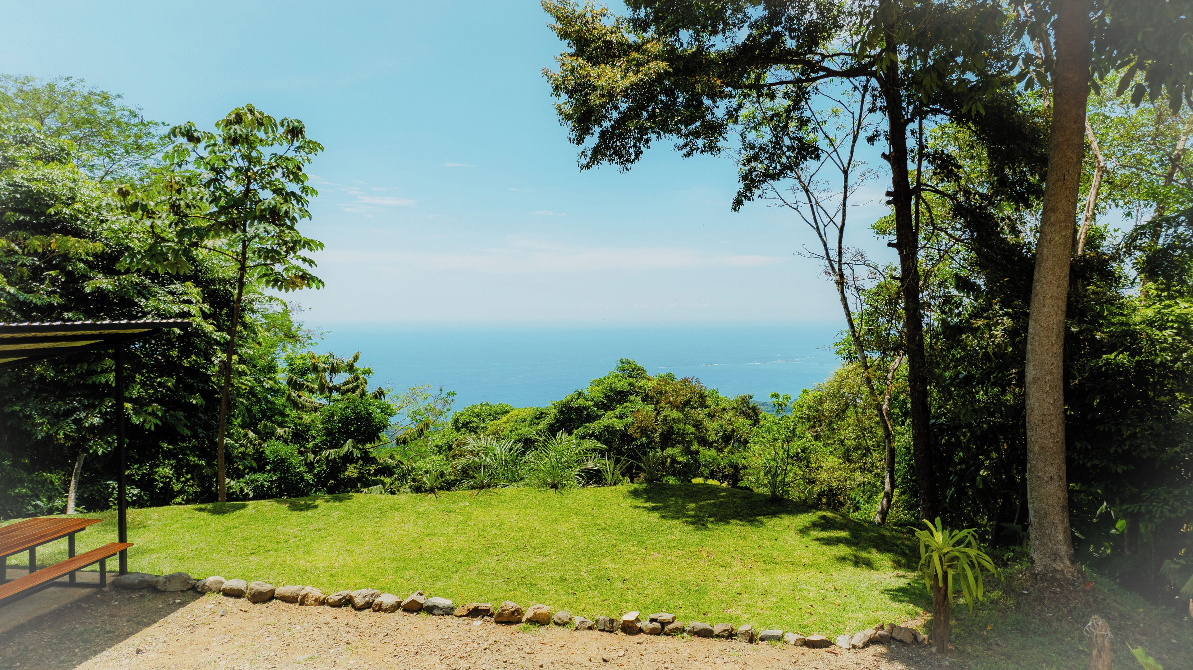 A grassy area with a bench, surrounded by trees and overlooking a body of water.