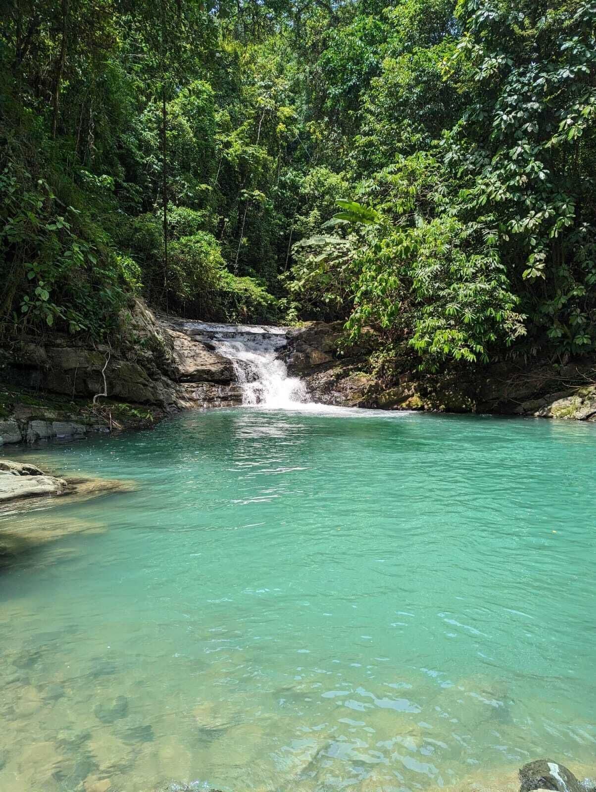 A natural waterfall in a forested area with clear water.