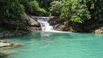 A natural waterfall in a forested area with clear water.