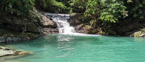 A natural waterfall in a forested area with clear water.