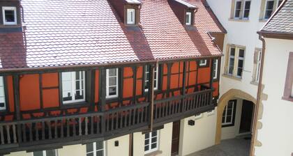 TOURIST RENTAL HISTORIC CENTER COLMAR