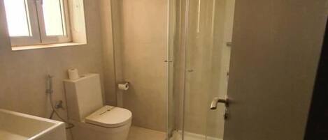 A bathroom with a toilet, sink, and a glass-enclosed shower.