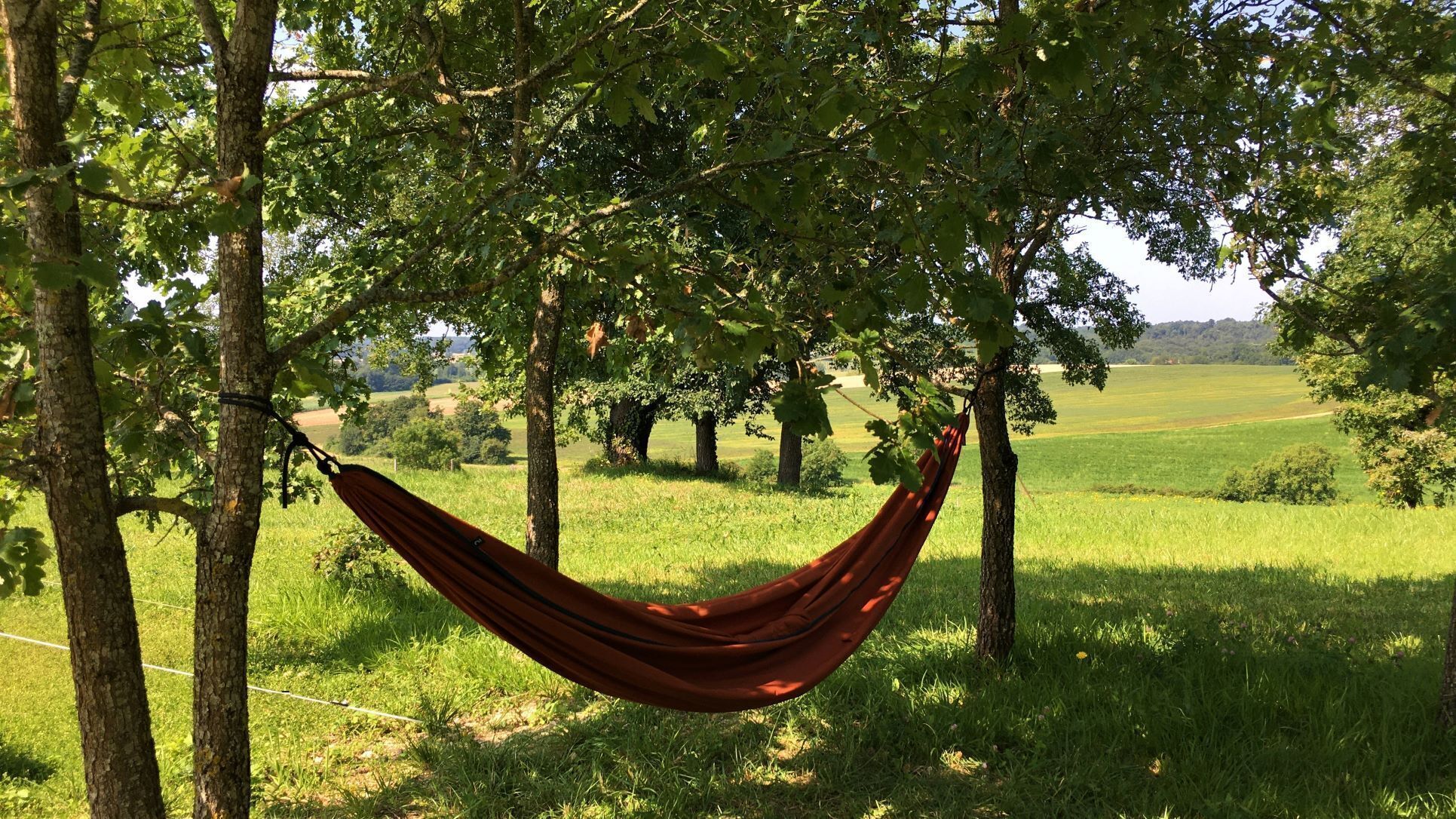 A hammock hanging between trees in a grassy field.