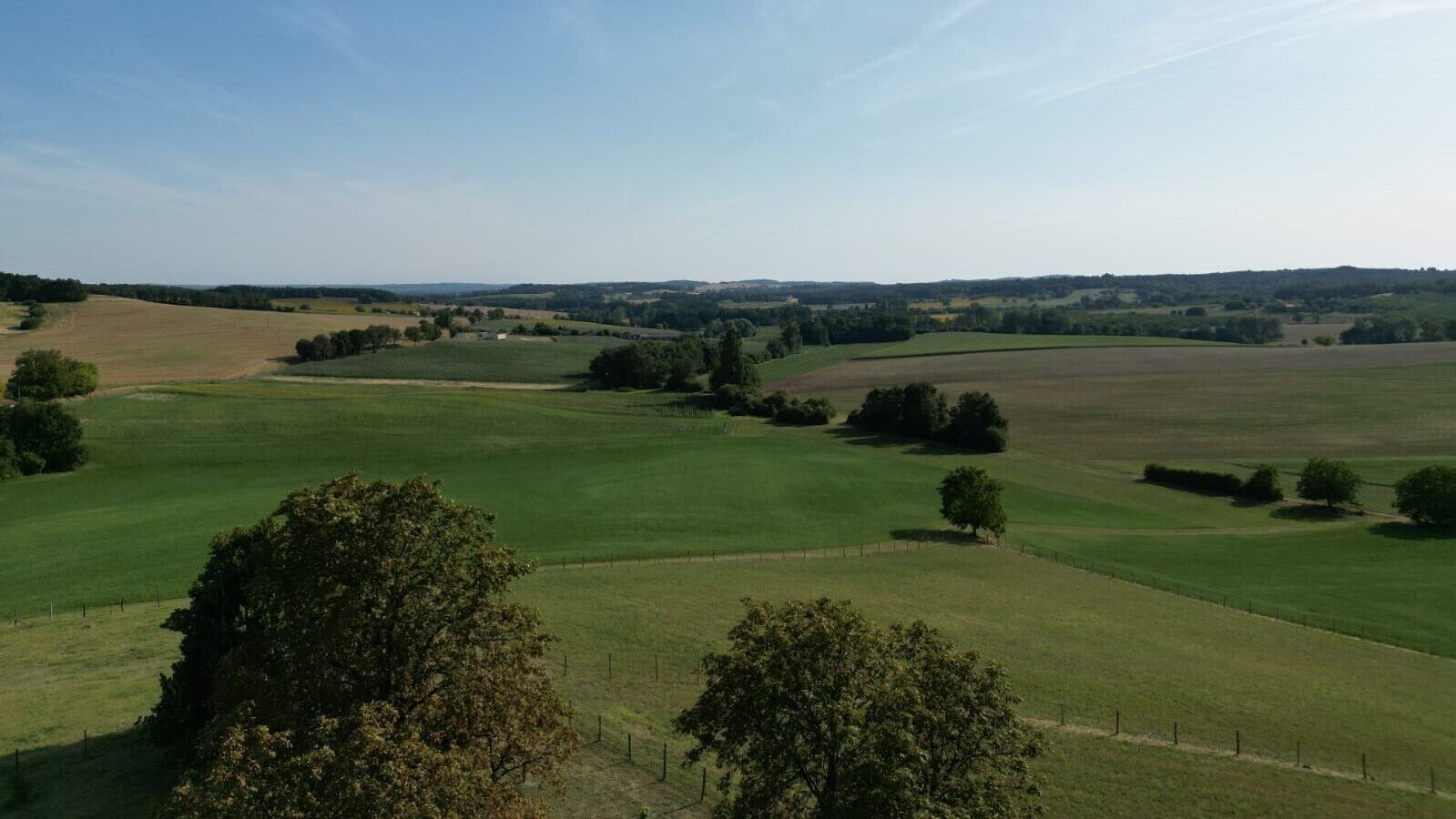 A panoramic view of a rural landscape with rolling fields and scattered trees.