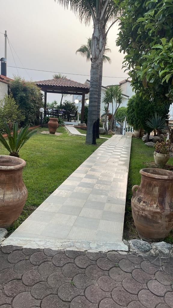 Un sendero pavimentado conduce a un pabellón, rodeado de plantas en macetas y una palmera.
