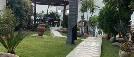 Un sendero pavimentado conduce a un pabellón, rodeado de plantas en macetas y una palmera.