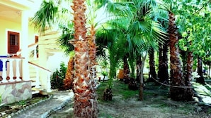 A courtyard with palm trees, a stone pathway, and a building with a balcony. - Residence Villa Grazia  (Ricadi)