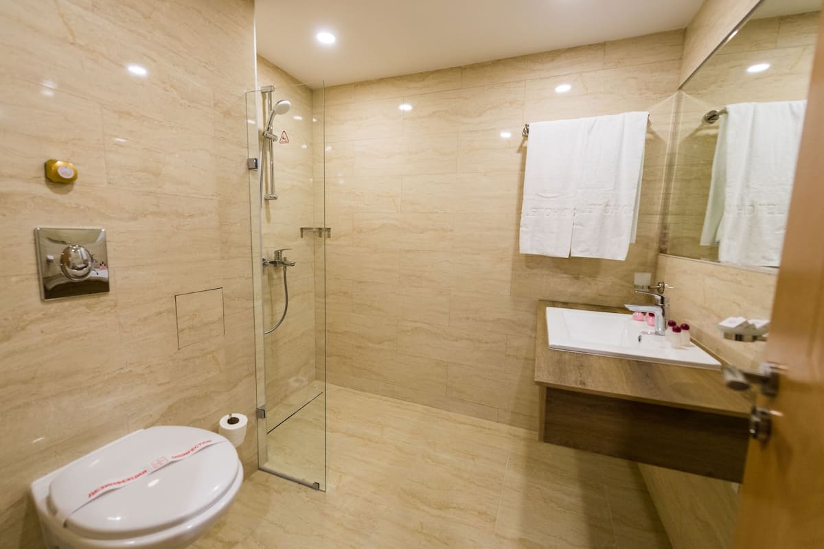 Combined shower/bathtub, free toiletries, hair dryer, towels