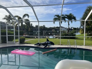 Una piscina con un flotador con forma de delfín, rodeada por un recinto de cristal que ofrece vistas a palmeras y casas.