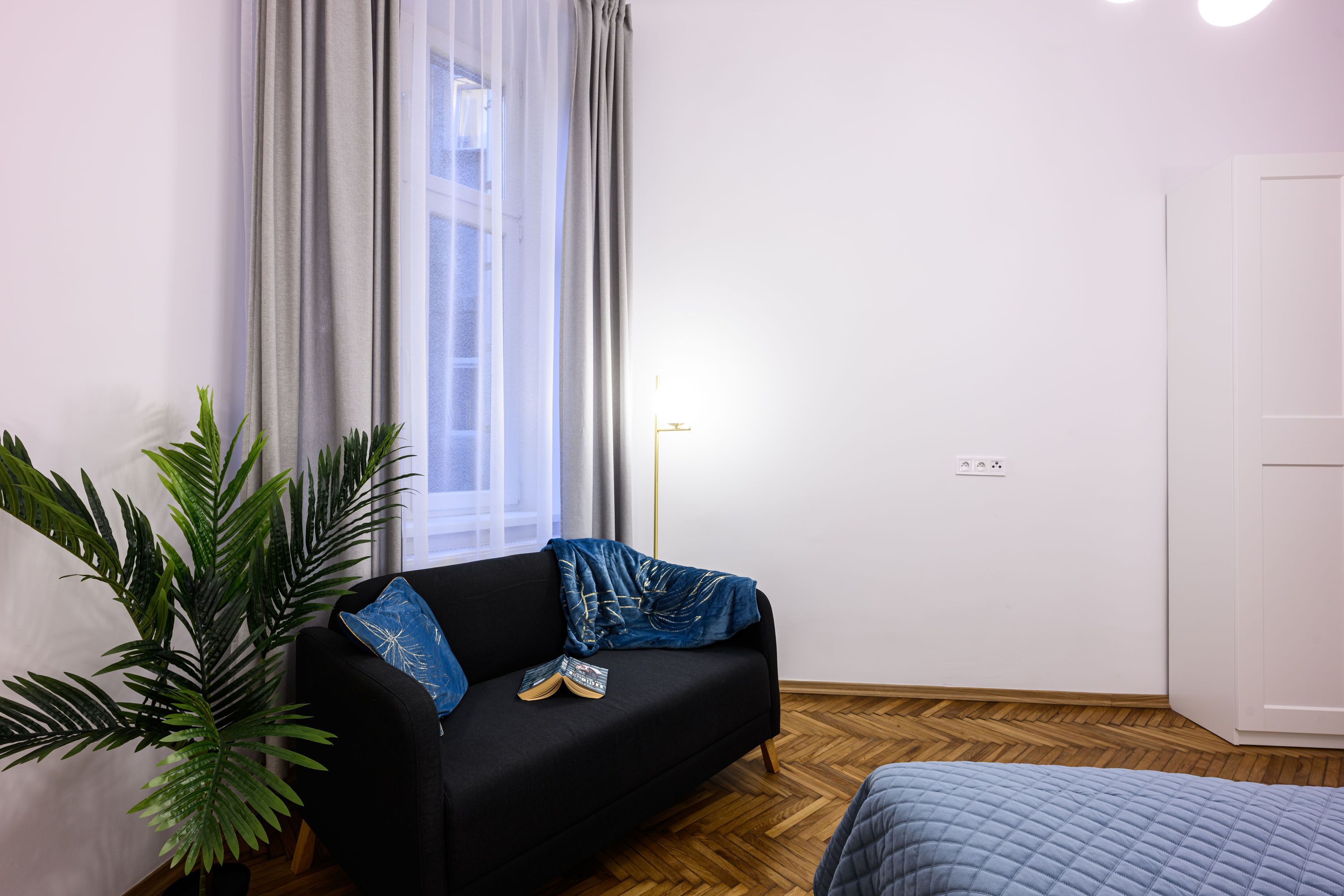Une pièce avec un canapé noir, un lit bleu matelassé, une plante en pot et une fenêtre ornée de rideaux légers.