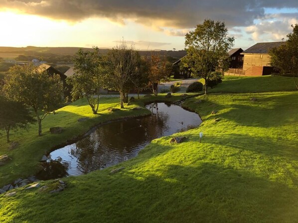 Terrain de l’hébergement 