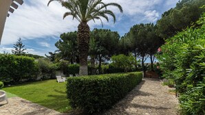 A garden with a stone pathway, neatly trimmed hedges, and a palm tree.