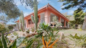 Une maison avec un toit rouge et un jardin où poussent différentes plantes et des cactus.