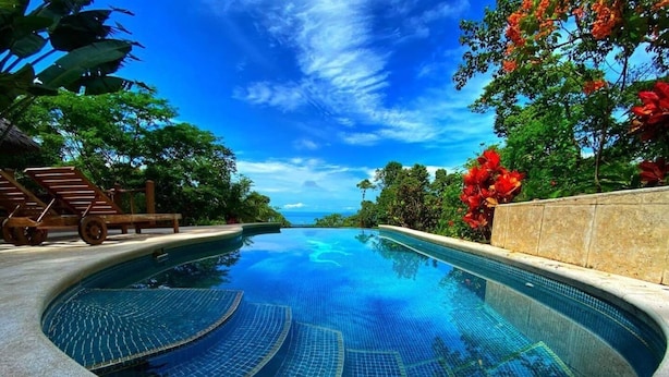 Una piscina de borde curvo, rodeada de exuberante vegetación y un cielo azul despejado.