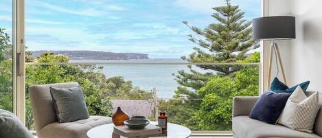 TV connectée, cheminée