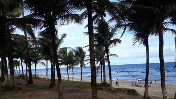 A beach with palm trees and a sandy shore. - Village Duplex, 2 Bedrooms, 100m from the Beach with Pool (Salvador)