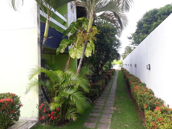 A narrow pathway flanked by lush greenery and flowering plants, leading to a white building with a green and white facade.