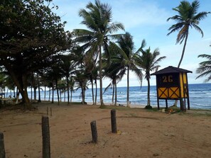 Sun-loungers