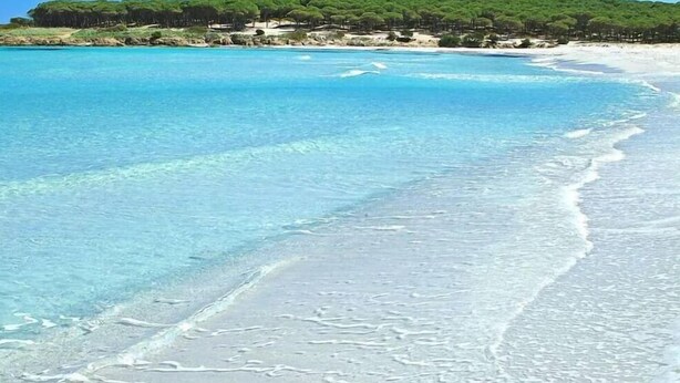 A beach with clear turquoise water, a sandy shore, and a forested area in the background. - House / Villa - Budoni (Tanaunella (Budoni))