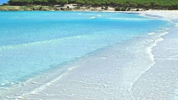 Una spiaggia nelle vicinanze