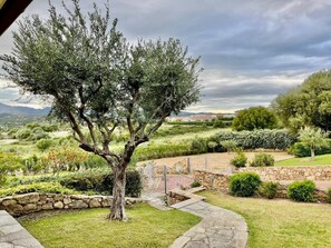 Property grounds - House / Villa - Budoni (Tanaunella (Budoni))