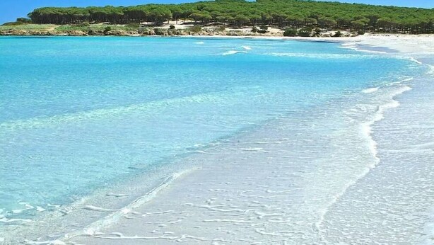 A beach with clear turquoise water, white sand, and a forested hill in the background. - House / Villa - Budoni (Tanaunella (Budoni))