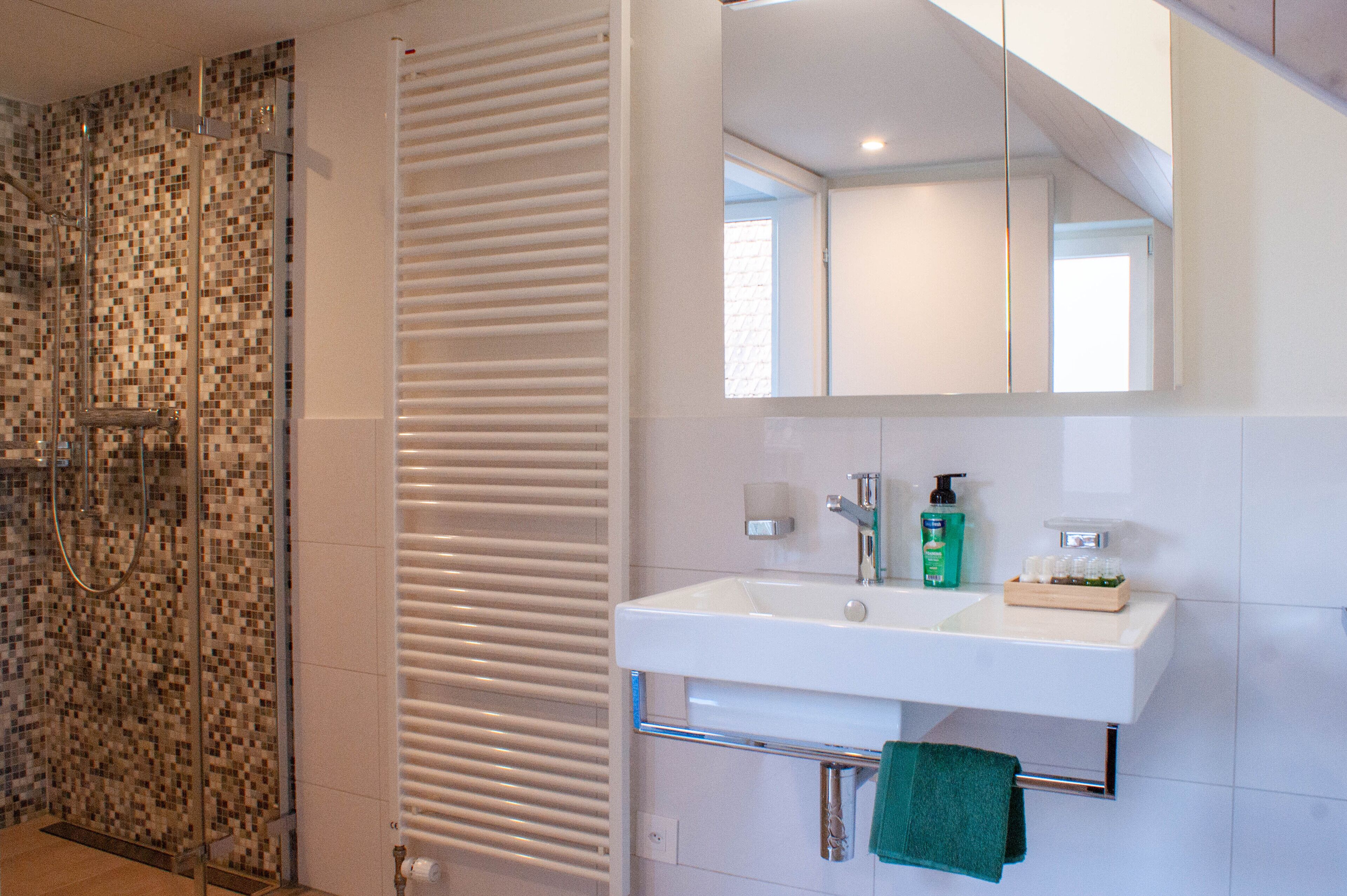 Shower, hair dryer, heated floors, towels