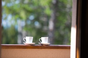 Family Apartment (High Ground Floor (1)) | Terrace/patio - Apartmani Bijelic (Zabljak)