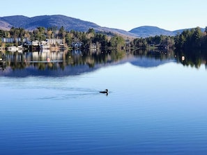 A tranquil lake with a single duck swimming, surrounded by a forested area and a row of buildings with visible windows and balconies. - Lake View Chalet, walk to village, 5 furnished outdoor spaces, game rooms (Lake Placid)