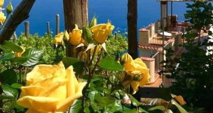 Amalfi Coast Guesthouse Casa Njulinella