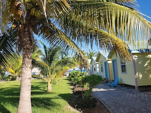 Jardín