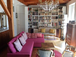 TV, fireplace, books