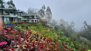 Un hotel moderno con fachada de vidrio, jardines en terrazas y vistas al bosque circundante.