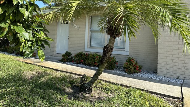 A residential building with a palm tree in front, a white door, and a mailbox. - Gemme au paradis (Lake Worth)