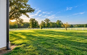 Ein grünes Feld mit weißem Zaun, Bäumen und blauem Himmel.