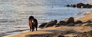 Spiaggia