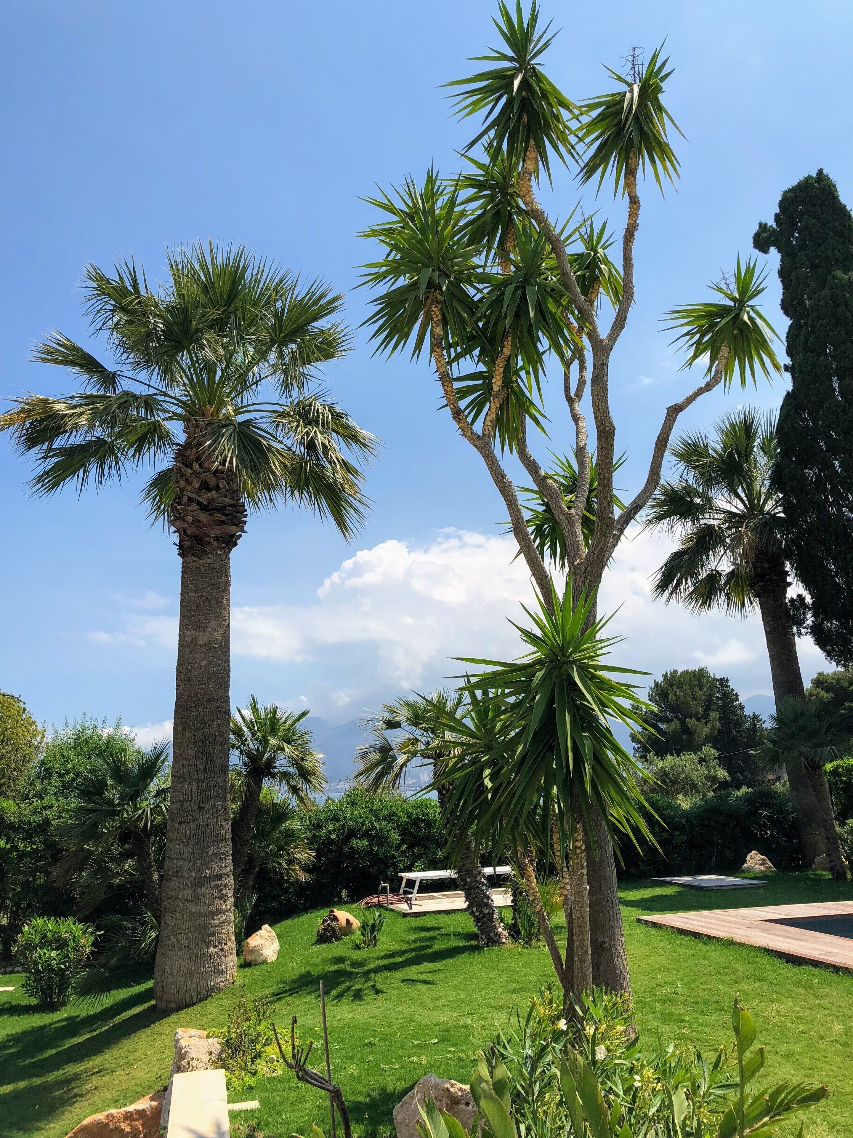 Parco della struttura