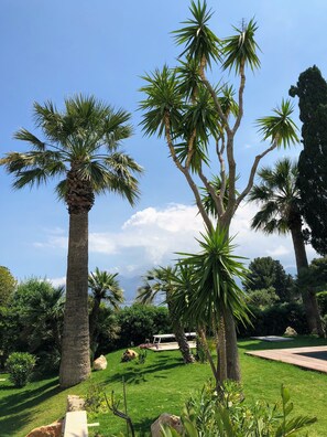 Jardines del alojamiento