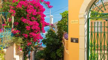A narrow street with a yellow building, a blue gate, and pink bougainvillea flowers.