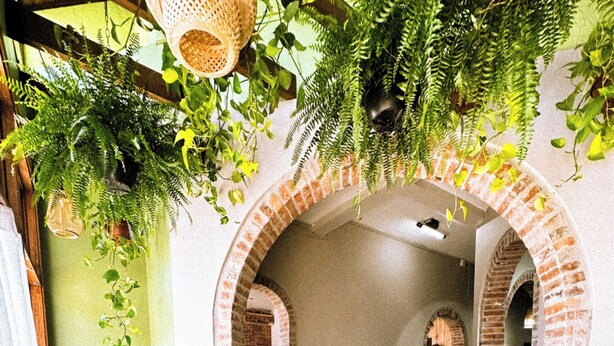 A dining area with a brick archway, wooden chairs, a round table, and hanging greenery. - Hotel Imigrantes (Bento Gonçalves)
