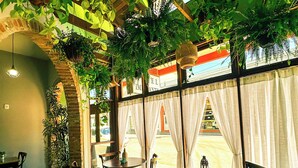 A restaurant with wooden tables and chairs, hanging plants, and large windows with white curtains. - Hotel Imigrantes (Bento Gonçalves)