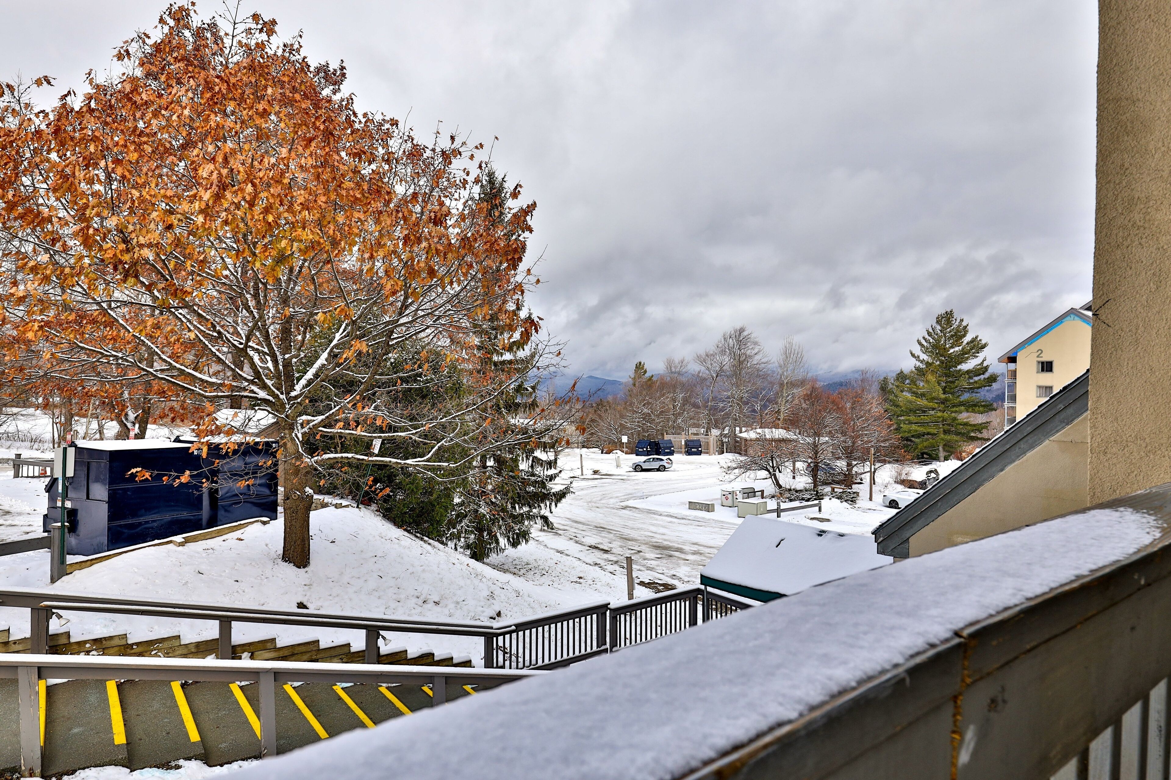 A snowy outdoor area with a staircase, a tree with autumn leaves, and a building in the background.