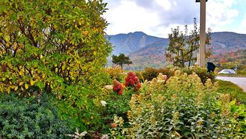 Condo, 1 habitación | Áreas de la propiedad