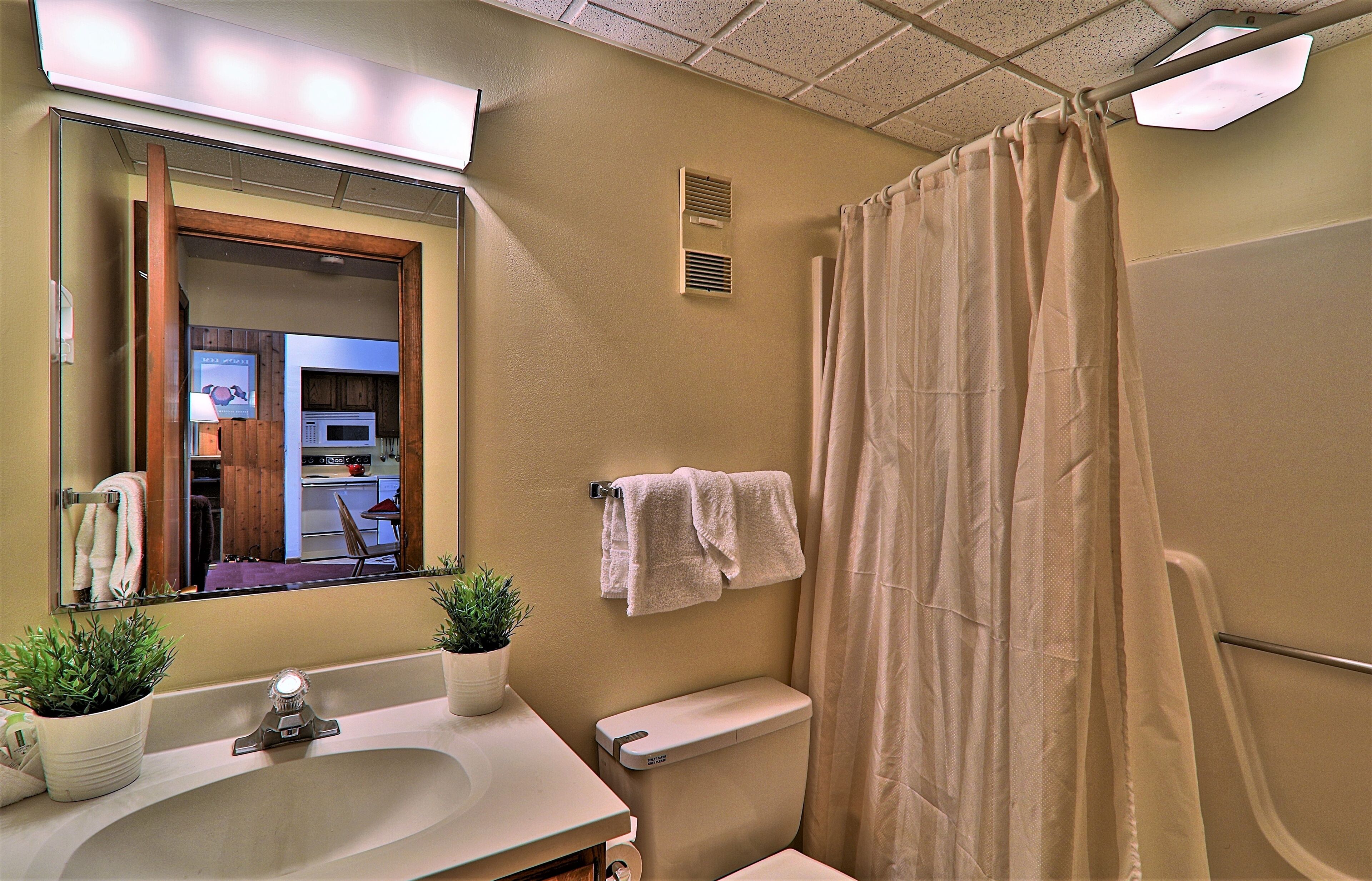 A bathroom with a sink, mirror, towel rack, shower curtain, and a potted plant.