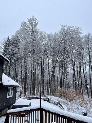 House, 4 Bedrooms | Property grounds